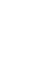 decoration